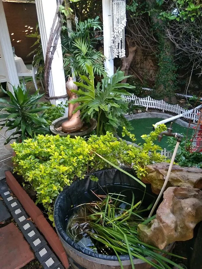 Mitchell'S Guesthouse Parow Πανσιόν